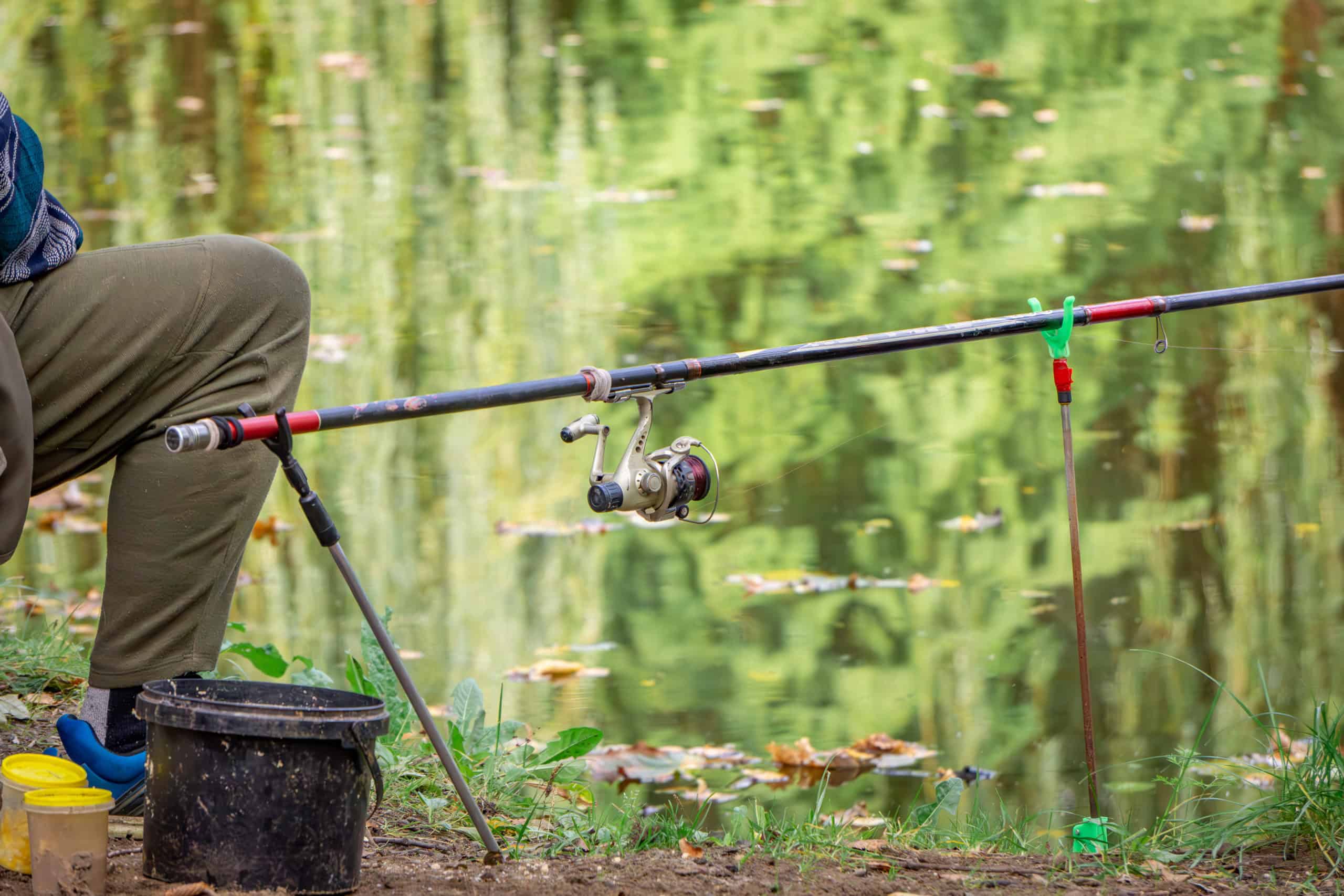 fisherman fishing in a pond in a city park. fishing as a hobby and passion. older man fishing.