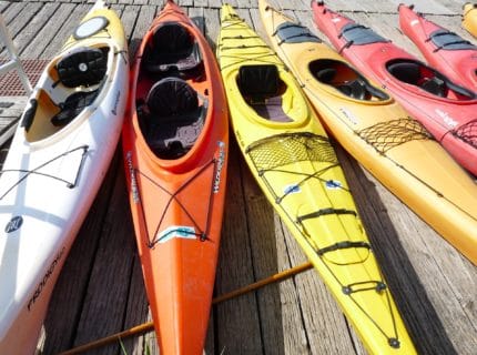 kayaks
