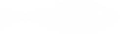 Image blanche vide sans contenu visible