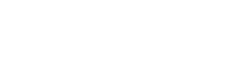 Image blanche vide sans contenu visible