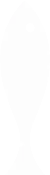 Silhouette blanche d'une personne debout sur fond blanc