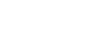 Image blanche vide sans contenu visible