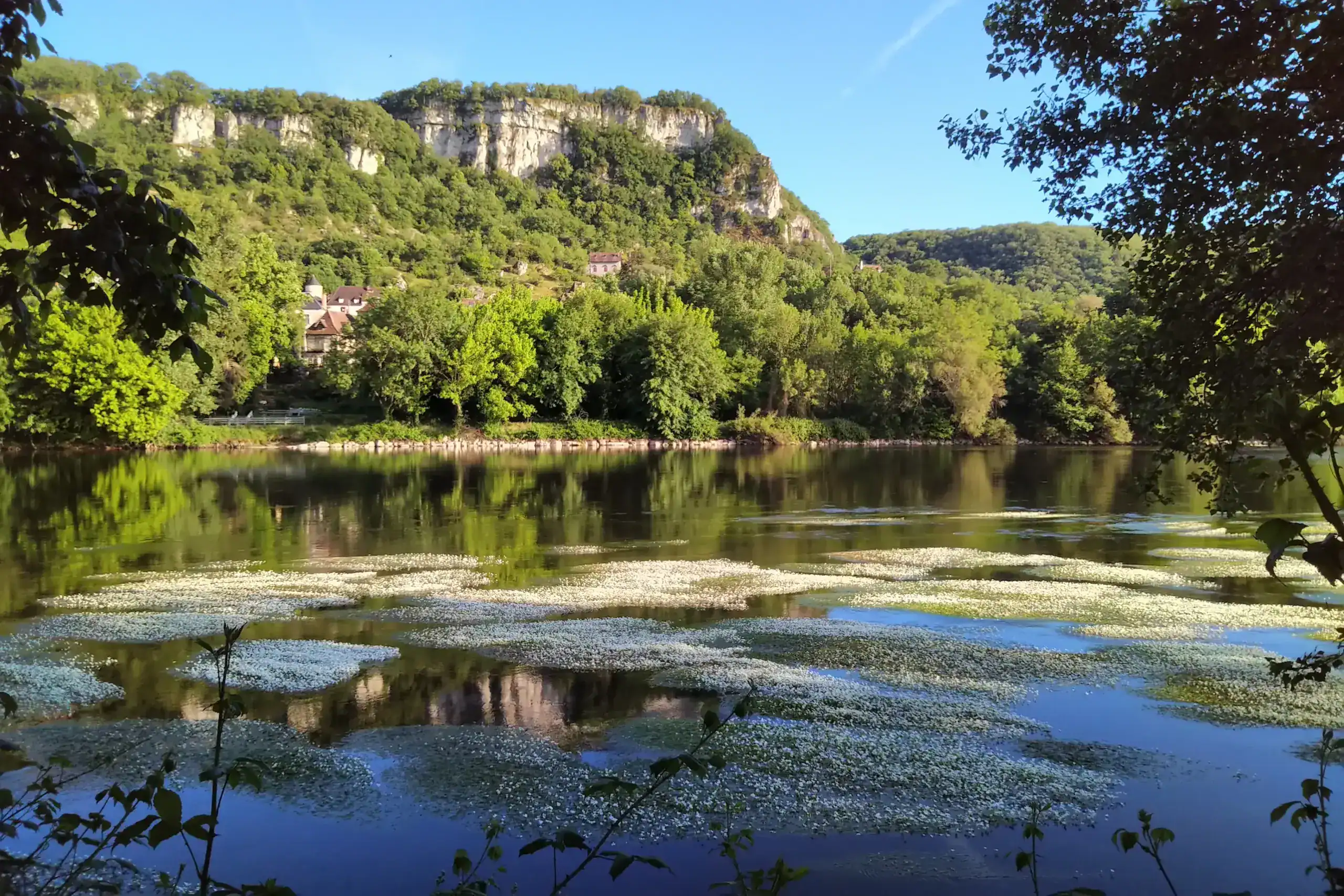 Rivière paisible avec fleurs blanches et falaises calcaires verdoyantes