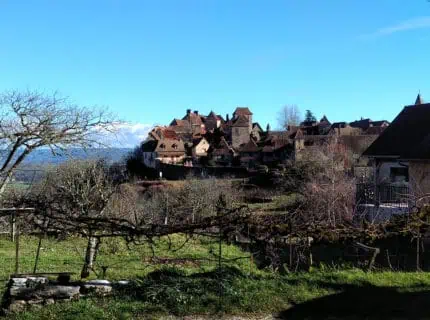 img 20260203 1151304