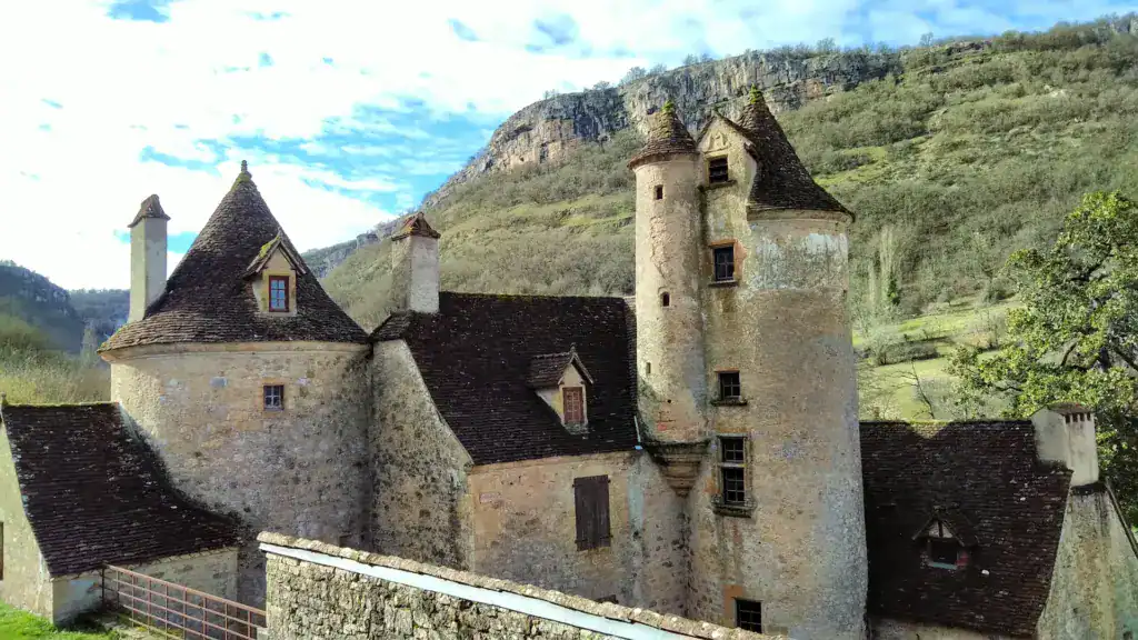 Château médiéval en pierre avec tours coniques dans vallée française