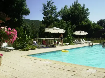 Piscine extérieure ensoleillée entourée de verdure et fleurs