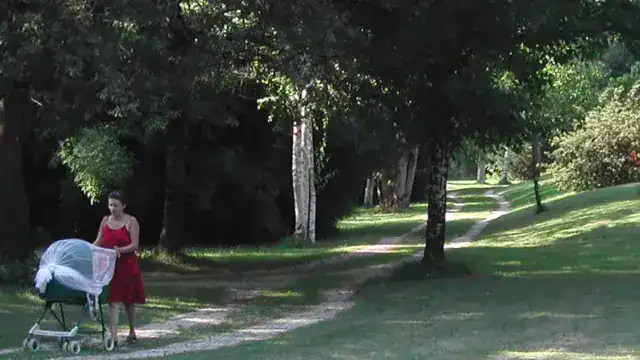Femme promenant un bébé en poussette dans un parc verdoyant