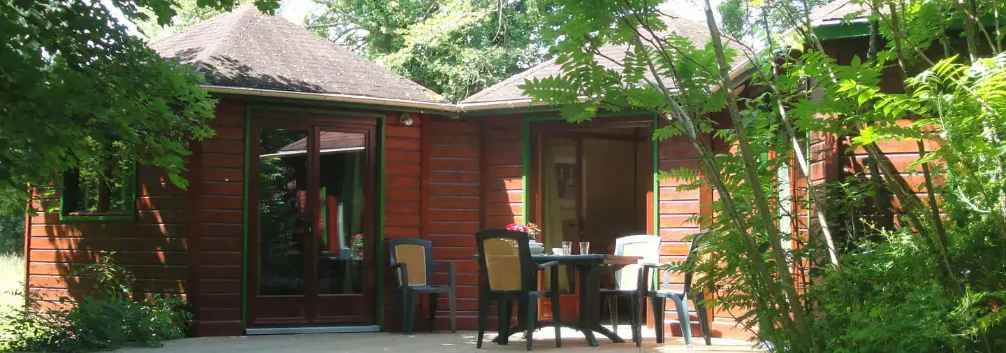 Chalet en bois avec terrasse entouré d'arbres verdoyants