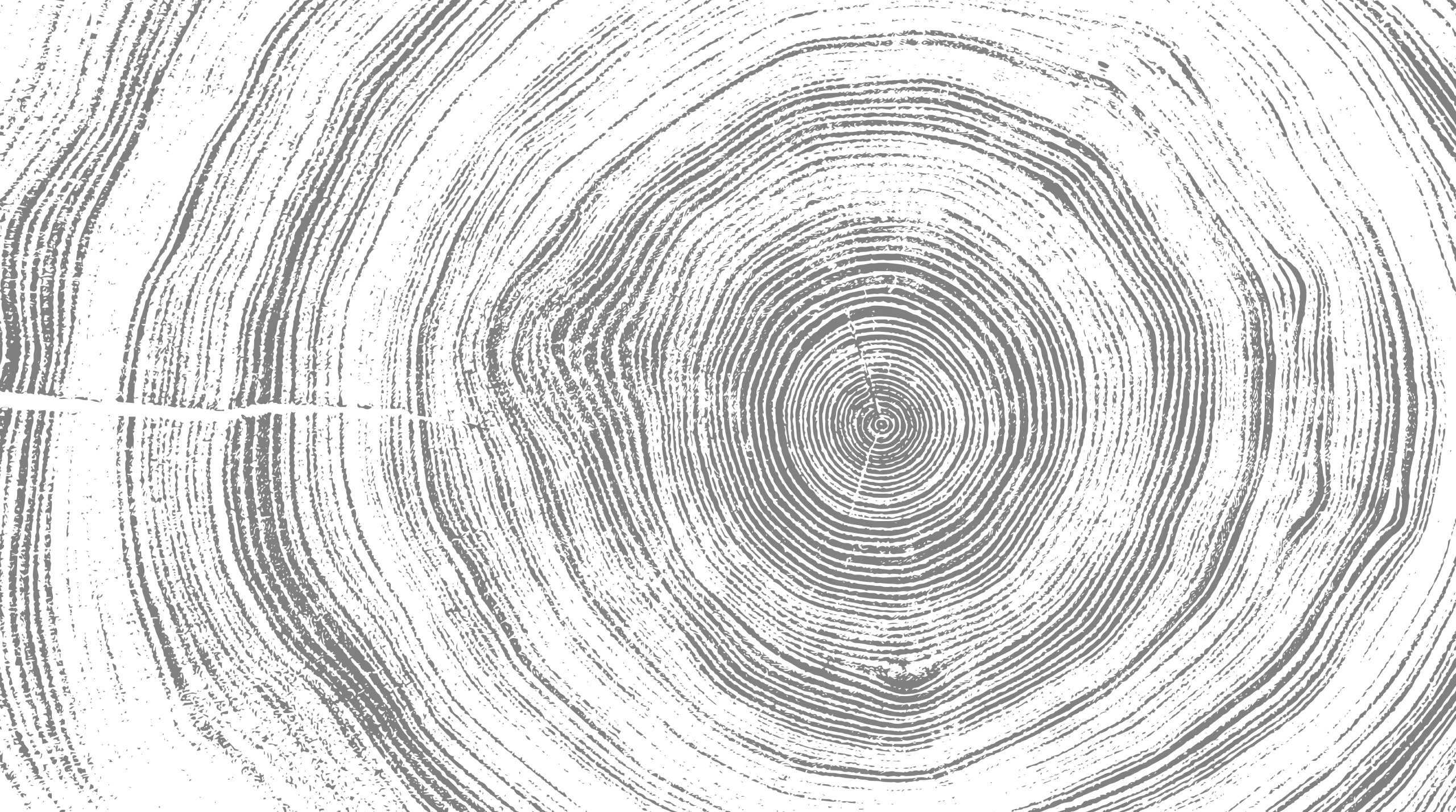 Illustration en niveaux de gris des cernes d'un tronc d'arbre