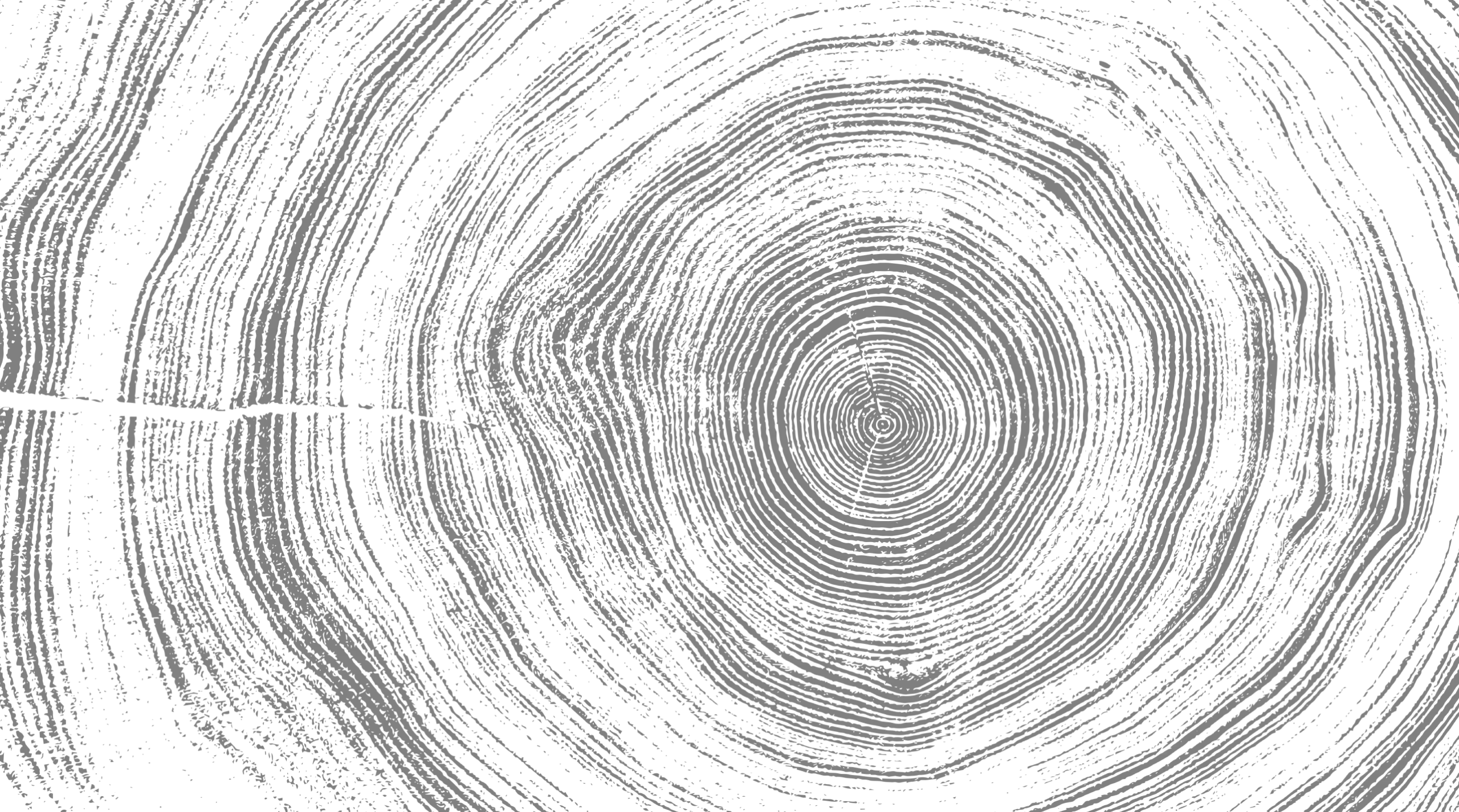 Illustration en niveaux de gris des cernes d'un tronc d'arbre