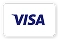 Visa payment card logo on a white background